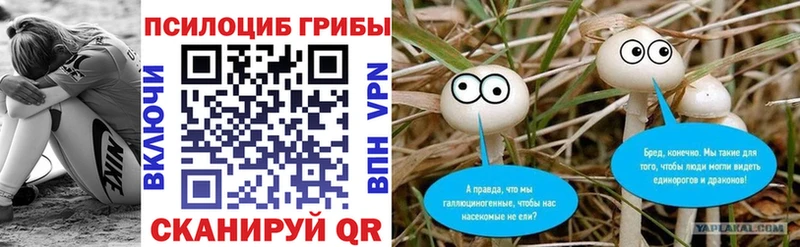 магазин продажи   Ильский  Псилоцибиновые грибы Cubensis 